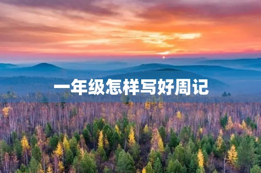 一年级怎样写好周记