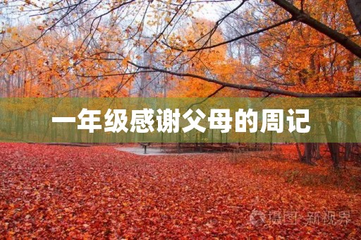 一年级感谢父母的周记