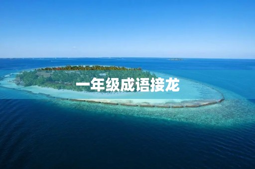 一年级成语接龙