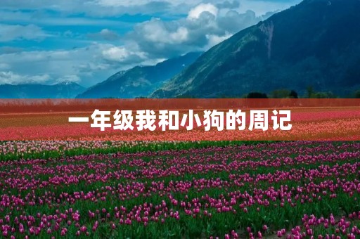 一年级我和小狗的周记 一年级我和小狗的周记