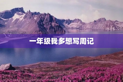一年级我多想写周记