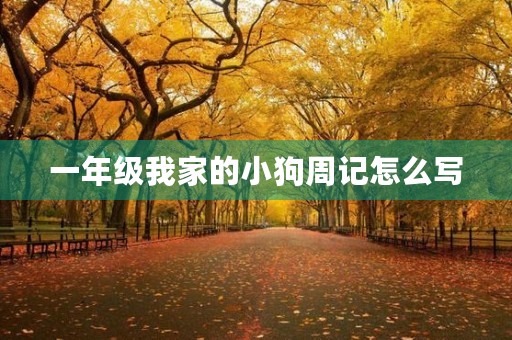 一年级我家的小狗周记怎么写