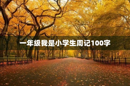 一年级我是小学生周记100字 一年级我是小学生周记100字