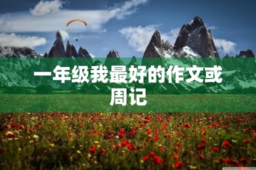 一年级我最好的作文或周记 一年级我最好的作文或周记