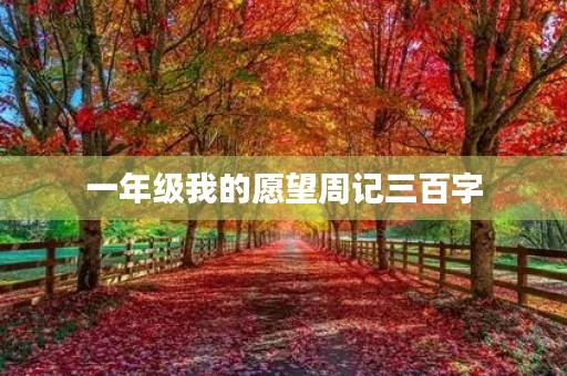 一年级我的愿望周记三百字 一年级我的愿望周记三百字