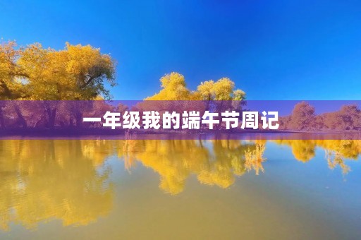 一年级我的端午节周记