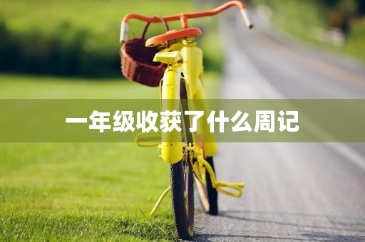 一年级收获了什么周记