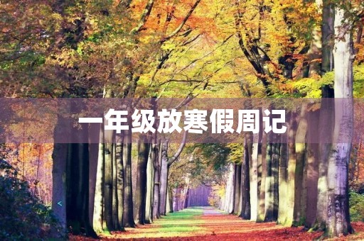 一年级放寒假周记 一年级放寒假周记