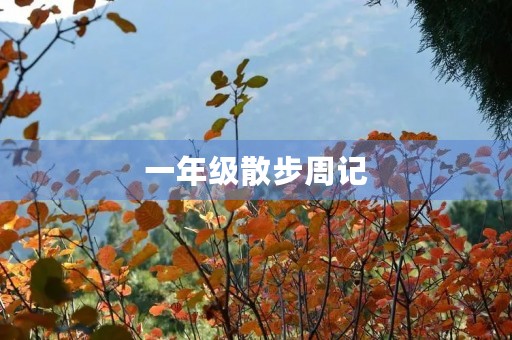 一年级散步周记 一年级散步周记