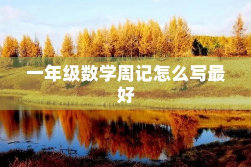 一年级数学周记怎么写最好