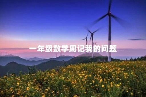 一年级数学周记我的问题 一年级数学周记我的问题
