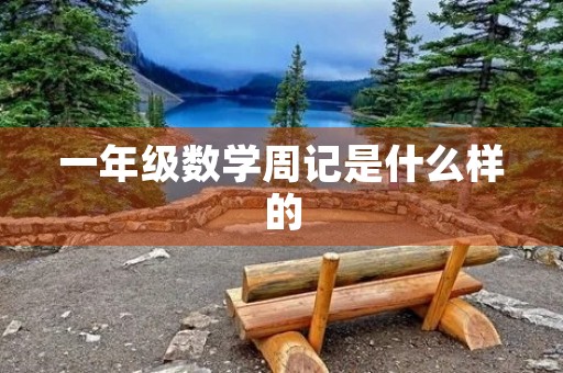 一年级数学周记是什么样的