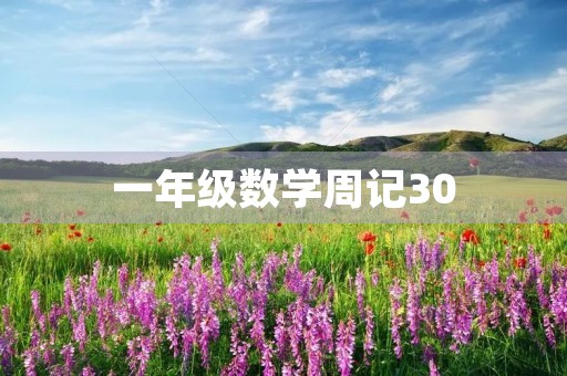 一年级数学周记30 一年级数学周记30