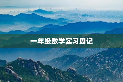 一年级数学实习周记