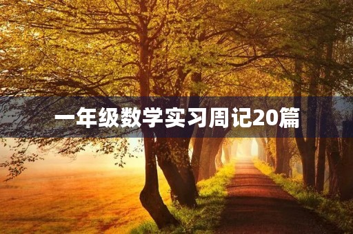 一年级数学实习周记20篇