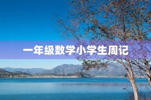 一年级数学小学生周记