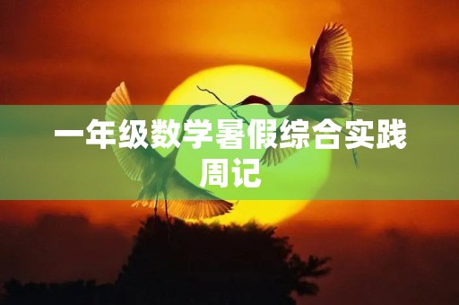 一年级数学暑假综合实践周记 一年级数学暑假综合实践周记