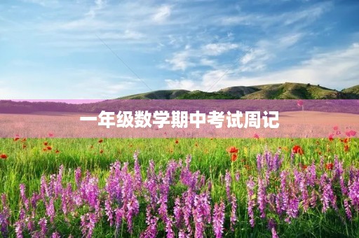 一年级数学期中考试周记