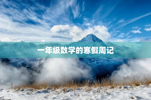 一年级数学的寒假周记