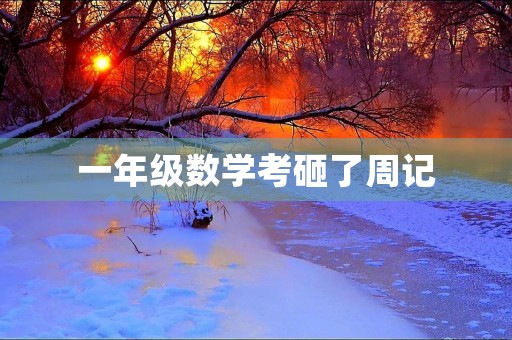 一年级数学考砸了周记