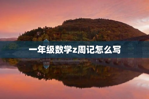 一年级数学z周记怎么写 一年级数学z周记怎么写