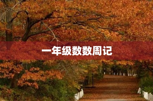 一年级数数周记