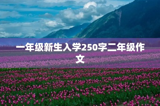 一年级新生入学250字二年级作文