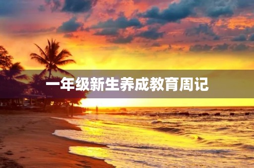 一年级新生养成教育周记