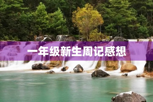 一年级新生周记感想 一年级新生周记感想