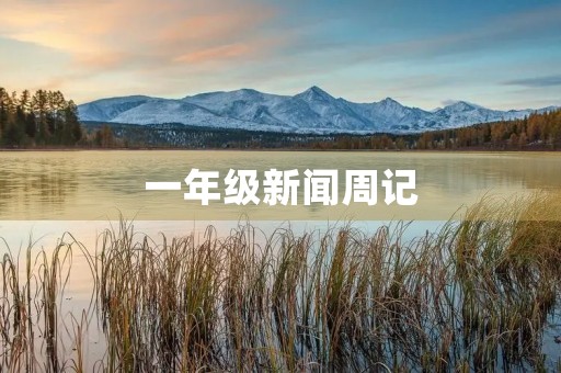 一年级新闻周记 一年级新闻周记