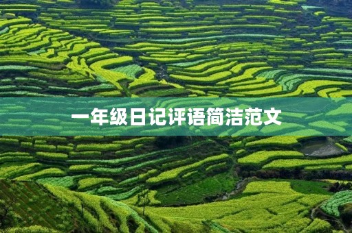 一年级日记评语简洁范文