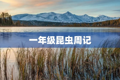 一年级昆虫周记