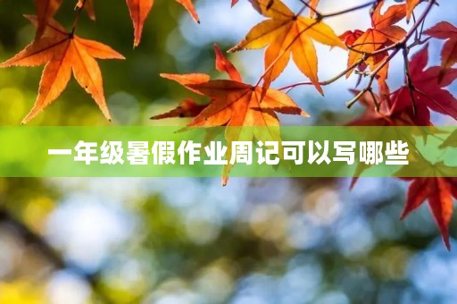 一年级暑假作业周记可以写哪些