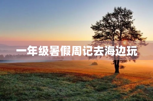 一年级暑假周记去海边玩