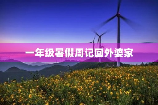 一年级暑假周记回外婆家