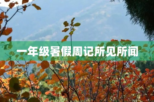 一年级暑假周记所见所闻