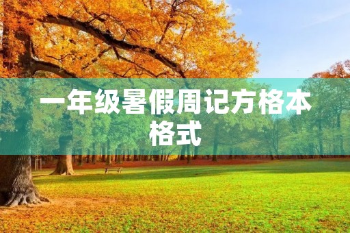 一年级暑假周记方格本格式