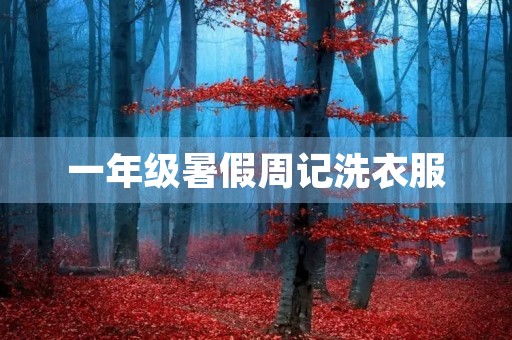 一年级暑假周记洗衣服