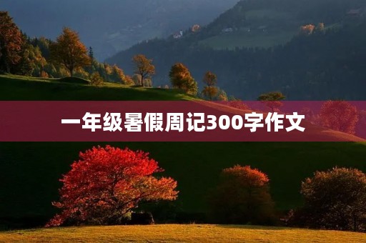 一年级暑假周记300字作文