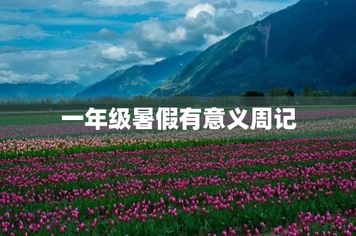 一年级暑假有意义周记