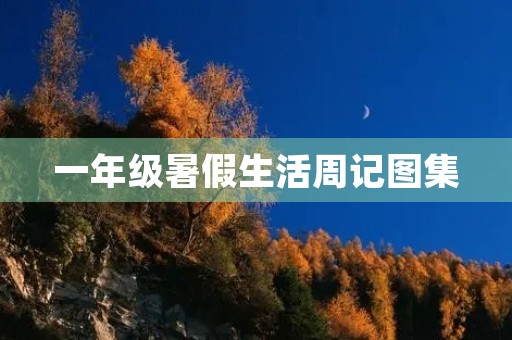 一年级暑假生活周记图集 一年级暑假生活周记图集