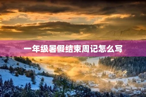 一年级暑假结束周记怎么写