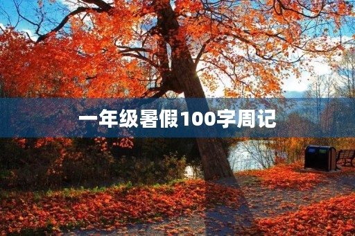 一年级暑假100字周记 一年级暑假100字周记