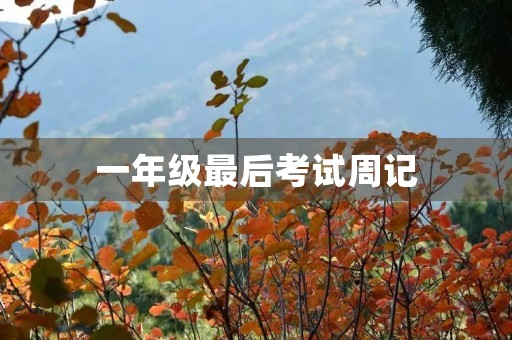 一年级最后考试周记