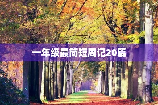 一年级最简短周记20篇 一年级最简短周记20篇