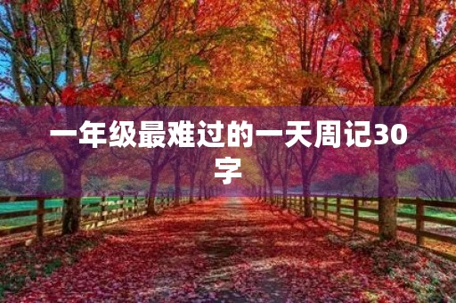 一年级最难过的一天周记30字 一年级最难过的一天周记30字