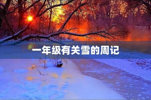 一年级有关雪的周记