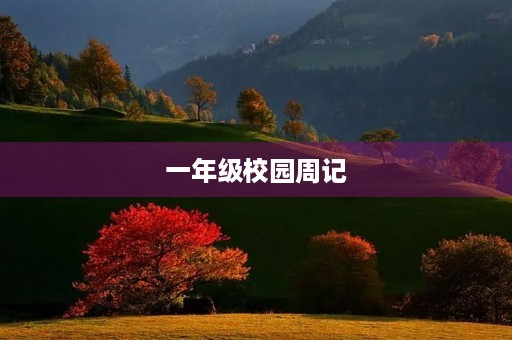 一年级校园周记 一年级校园周记