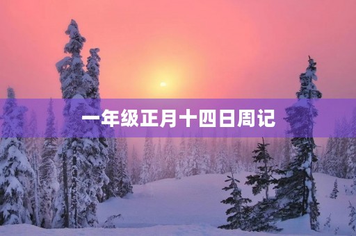 一年级正月十四日周记