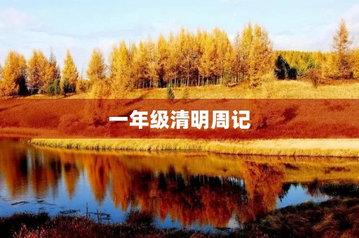 一年级清明周记